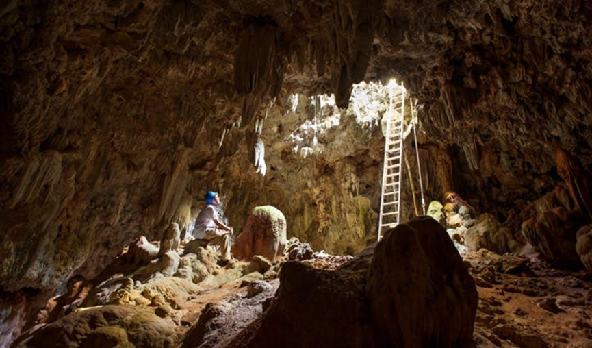 טיול מאורגן למדגסקר